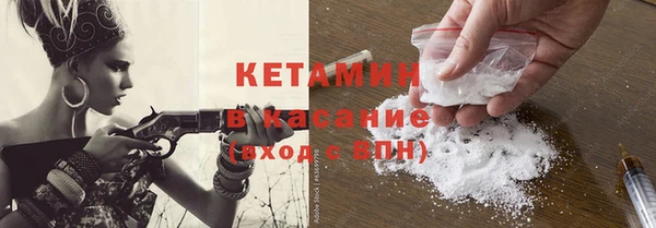 дживик Ельня