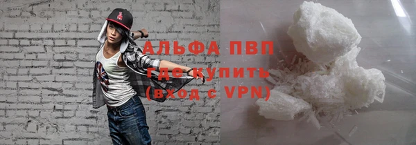 гидра Елизово