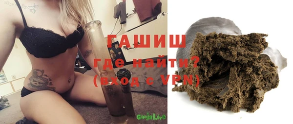 гидра Елизово