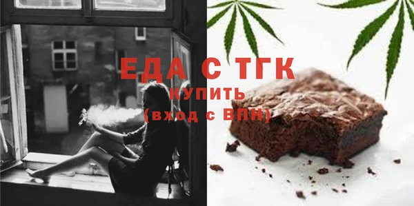 дживик Ельня