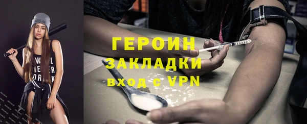 дживик Ельня