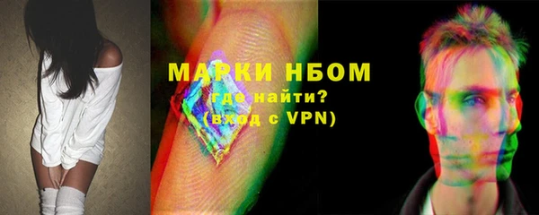 дживик Ельня