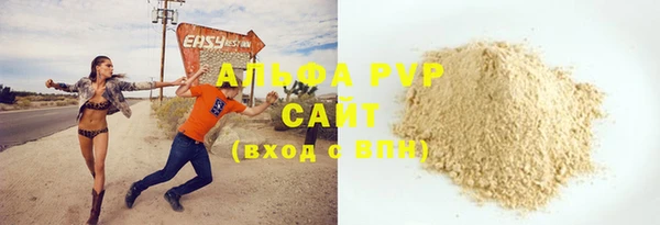 дживик Ельня