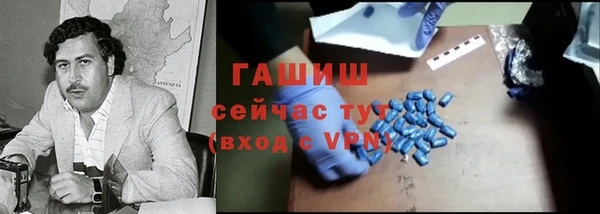 дживик Ельня