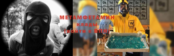 гидра Елизово