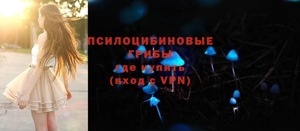 гидра Елизово
