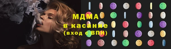 дживик Ельня