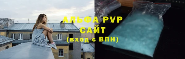 дживик Ельня