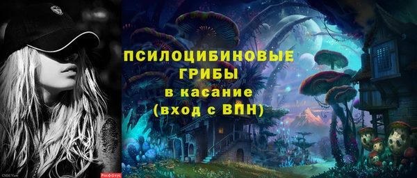 гидра Елизово