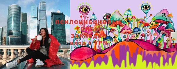 гидра Елизово