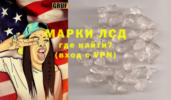 гидра Елизово