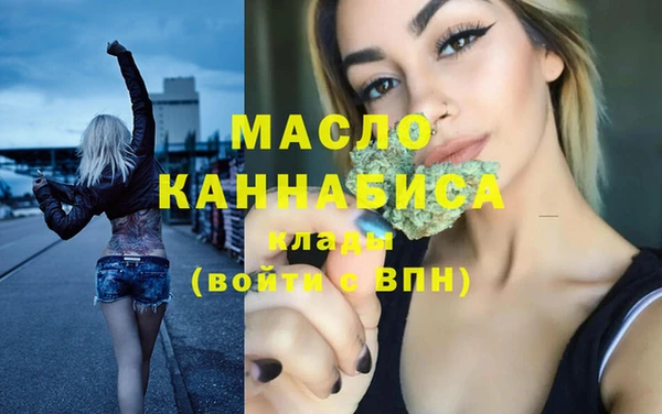 гидра Елизово