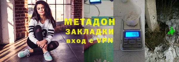 гидра Елизово