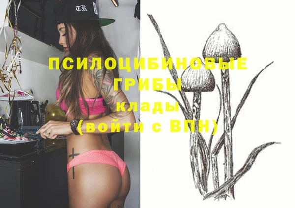 гидра Елизово