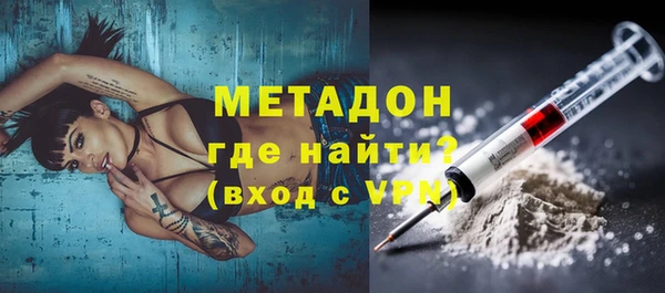 дживик Ельня