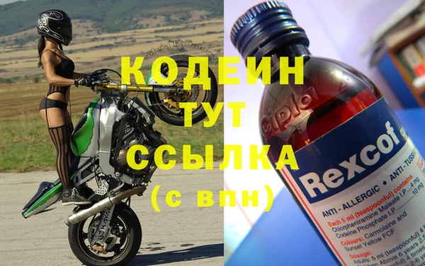 дживик Ельня