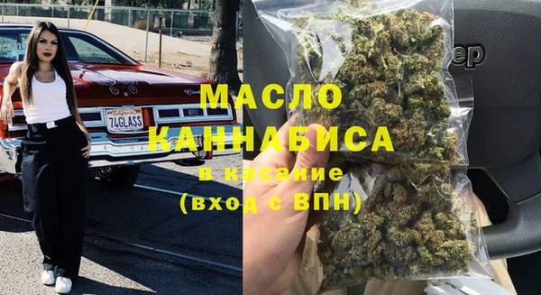 дживик Ельня