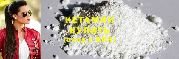 дживик Ельня