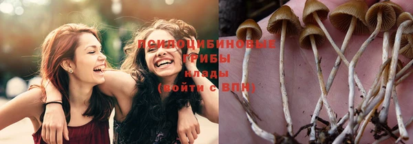 дживик Ельня