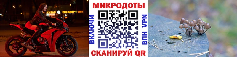 купить наркотики сайты  это Telegram  Галлюциногенные грибы ЛСД  Октябрьск 